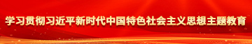 爆艹艹艹艹艹艹艹FC高潮学习贯彻习近平新时代中国特色社会主义思想主题教育